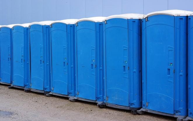 portable toilet rented for birthday party